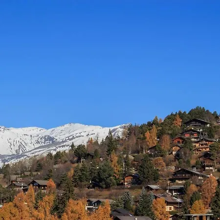 Apartment Au Coeur De *